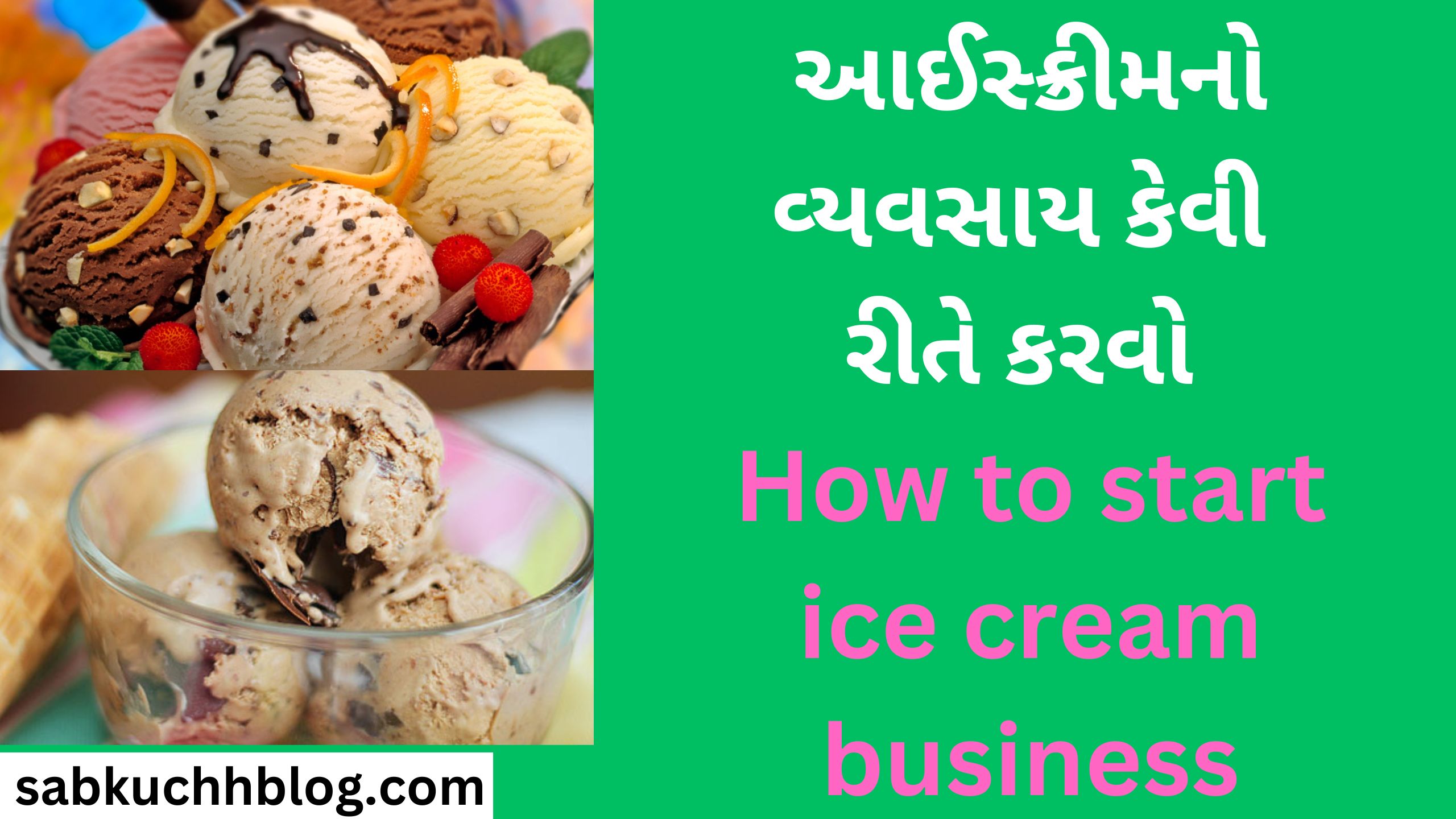 આઈસ્ક્રીમનો વ્યવસાય કેવી રીતે કરવો How to start ice cream business
