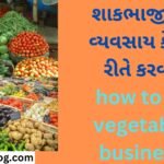 શાકભાજીનો વ્યવસાય કેવી રીતે કરવો how to do vegetable business